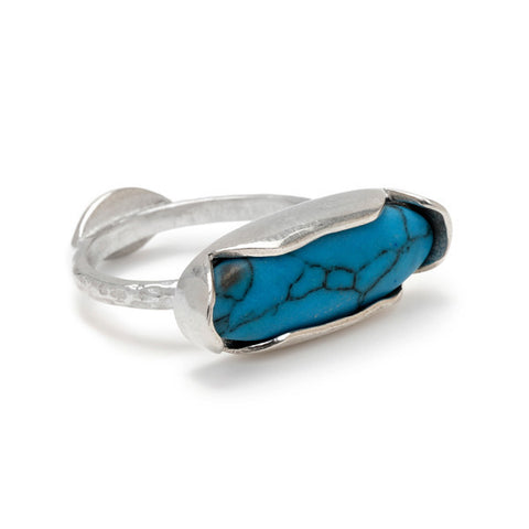 Horizon Duality Ring // Silver